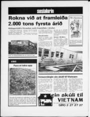 Síða 8
