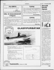 Síða 6