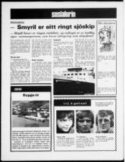 Síða 12