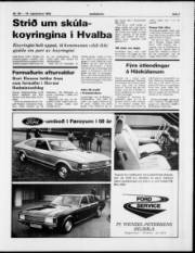 Síða 7