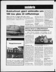 Síða 12