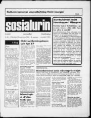 Síða 1