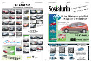 Síða 8