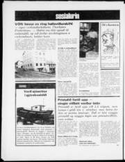 Síða 8