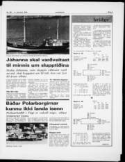 Síða 3