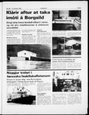 Síða 3