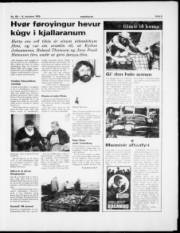 Síða 5