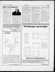 Síða 7