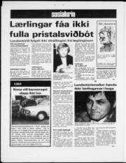 Síða 12