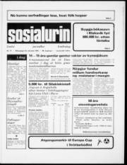 Síða 1