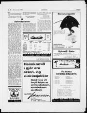 Síða 11