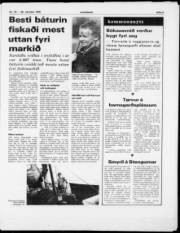 Síða 3