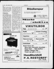 Síða 11