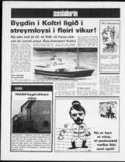 Síða 12