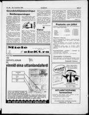 Síða 11
