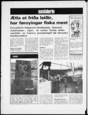 Síða 12