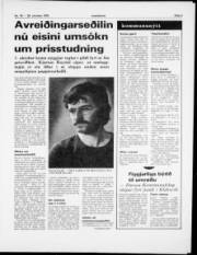 Síða 3