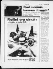 Síða 4