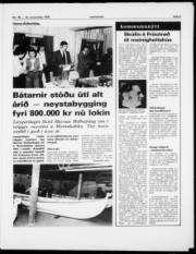 Síða 3