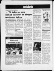 Síða 8