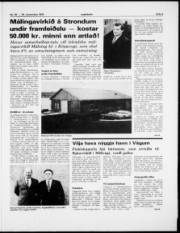 Síða 3