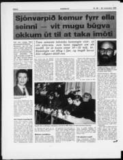 Síða 6