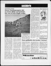 Síða 12