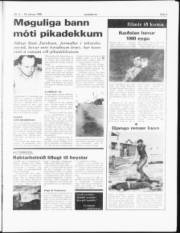 Síða 3