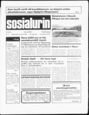 Síða 1