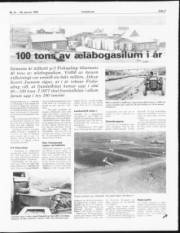 Síða 7