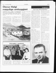 Síða 3