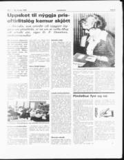 Síða 5