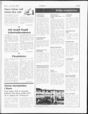 Síða 5
