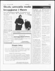 Síða 3