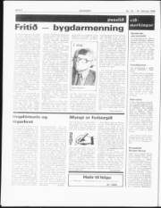 Síða 4