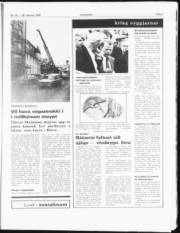 Síða 5