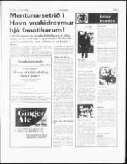 Síða 3