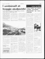 Síða 3