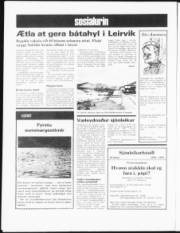 Síða 12