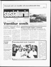 Síða 1