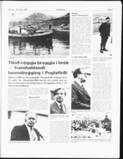 Síða 3