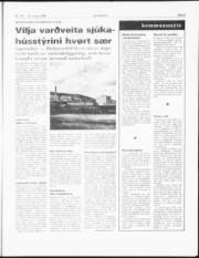 Síða 3