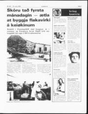 Síða 7