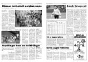 Síða 11