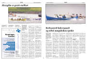 Síða 15