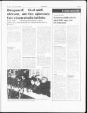 Síða 3
