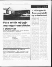 Síða 5