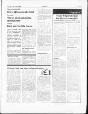 Síða 3
