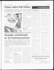 Síða 3