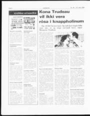 Síða 6